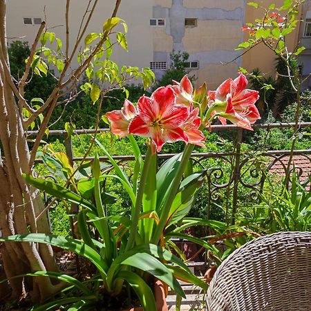 Cuba'S Art House Apartment ปาแลร์โม ภายนอก รูปภาพ