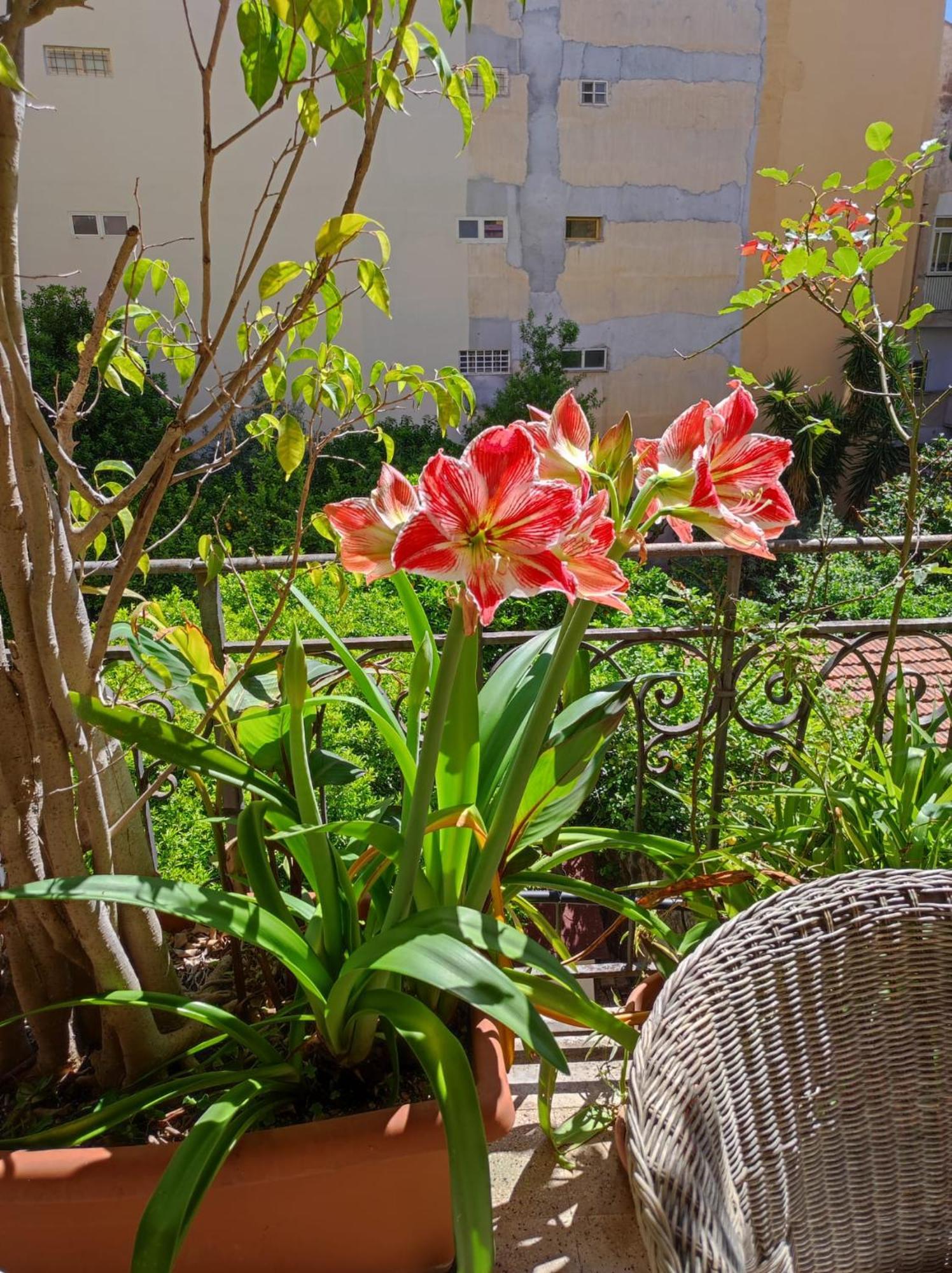 Cuba'S Art House Apartment ปาแลร์โม ภายนอก รูปภาพ